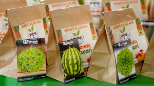 Prefeitura de Camaçari: Nova distribuição de sementes beneficia mais de 100 agricultores de Barra do Pojuca